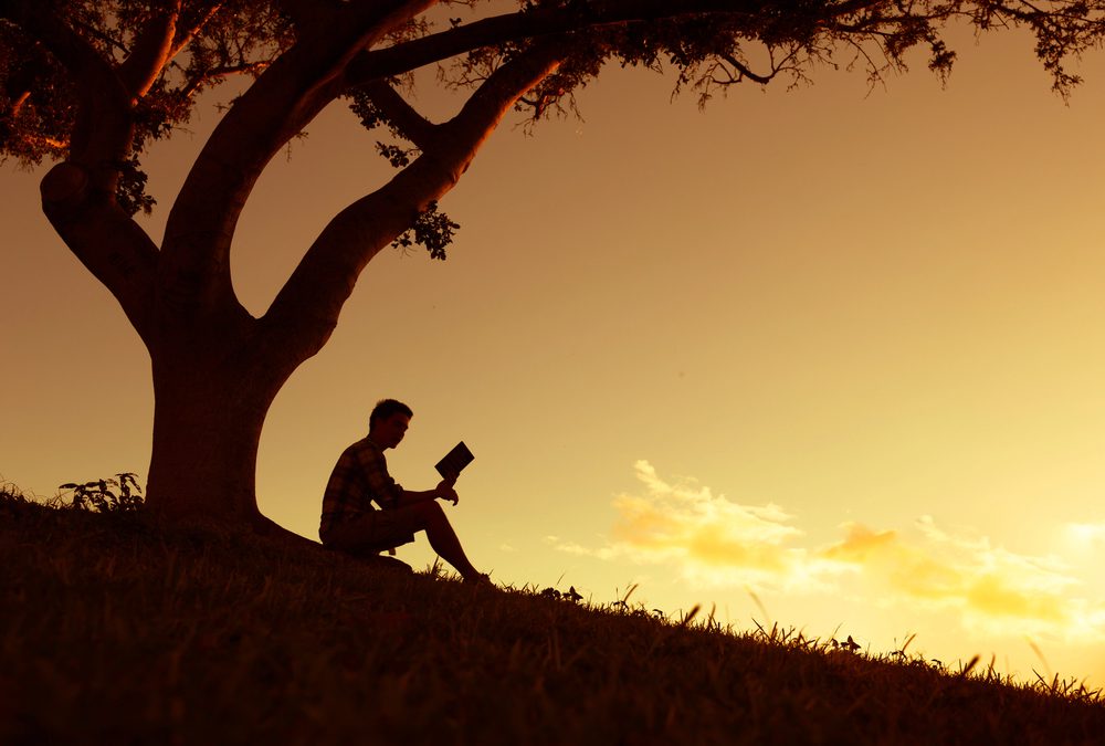 Why Does the Bible Say ‘Faith Without Works Is Dead’?